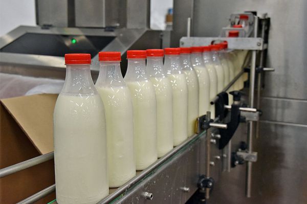 Аграрии Каменского района представят свою продукцию на всероссийский конкурс «100 лучших товаров».
