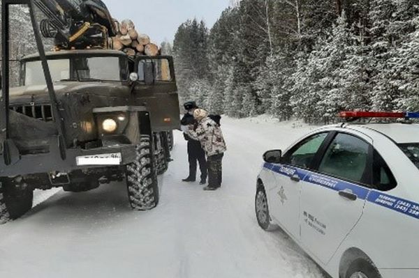 В прошлом году в регионе завели 38 уголовных дел за вырубку леса