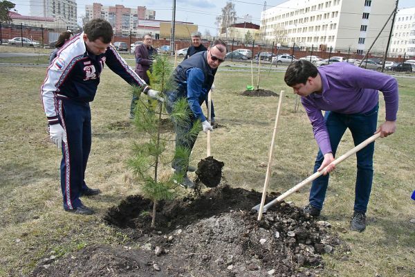 Кабинет министров взялся за грабли, метлы и лопаты