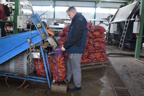 Свердловские аграрии закончили сбор урожая