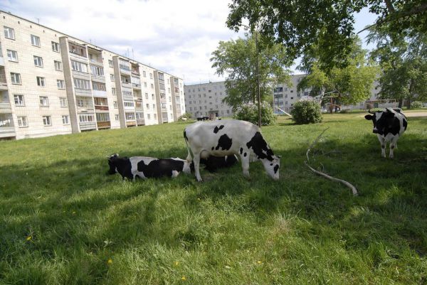 Крестьянам станет легче