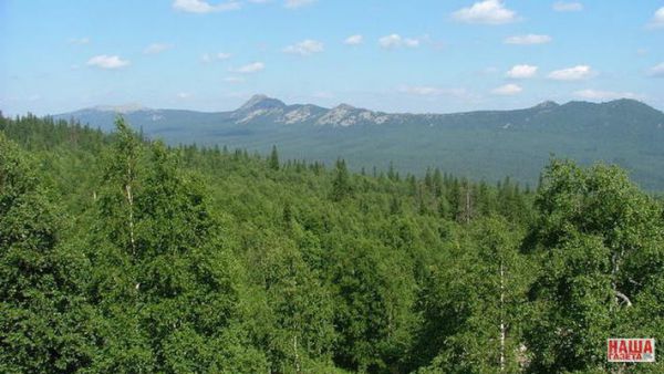 В лесу под Североуральском пропала семья с ребенком