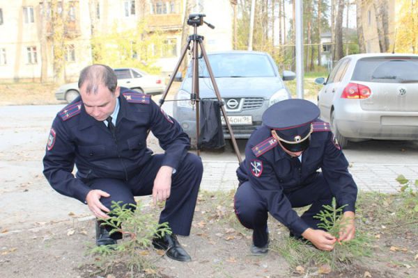 В Асбесте заложили аллею в честь погибших фронтовиков