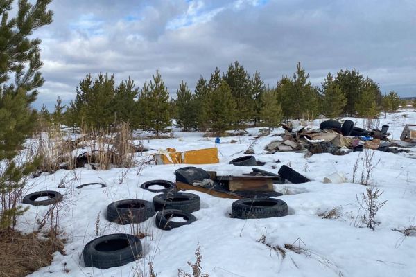 В Екатеринбурге прокуратура проверит незаконную свалку возле аэропорта Кольцово