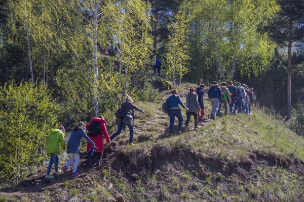 Число психических заболеваний снижается, несмотря на кризисы