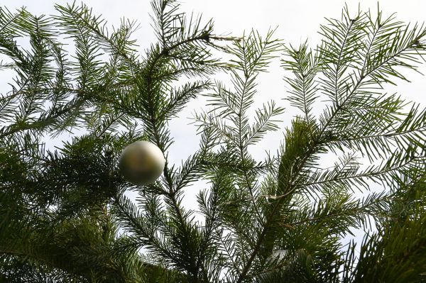 9 декабря на крайнем севере Свердловской области ожидается сильный мороз