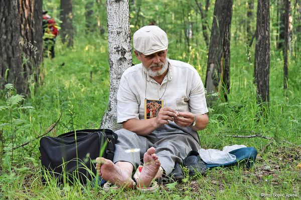 Голодные и опасные: в области растет число пострадавших от укусов клещей