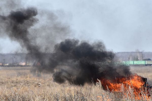 В Верхней Пышме более 250 га сельхозземель заросли деревьями и бурьяном