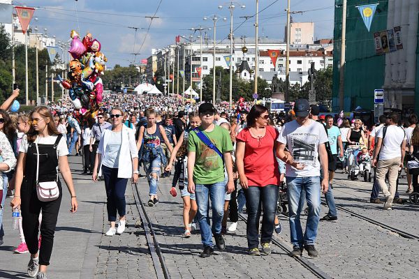 Сформирован новый состав Общественной палаты Свердловской области