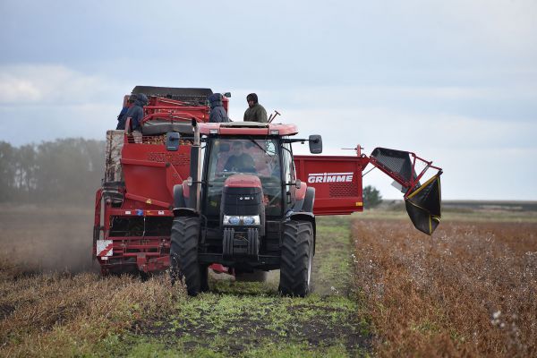 Власти передадут свердловским аграриям свободные сельхозугодья