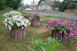 Жители Каменска-Уральского включились в конкурс на лучшую дворовую клумбу