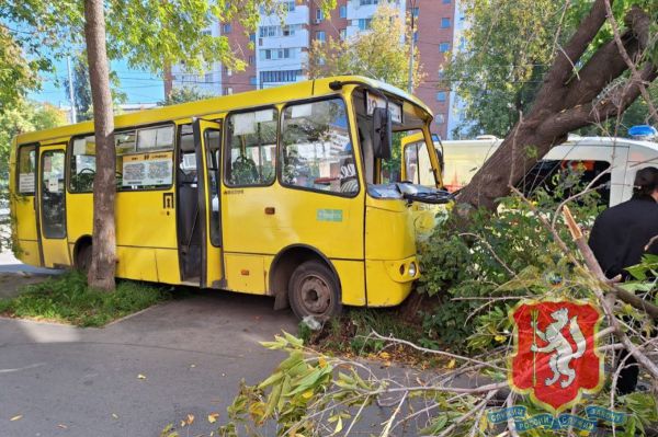 В Екатеринбурге пассажирский автобус влетел в дерево на улице 8 Марта