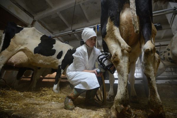 В Свердловской области растет производство продуктов питания