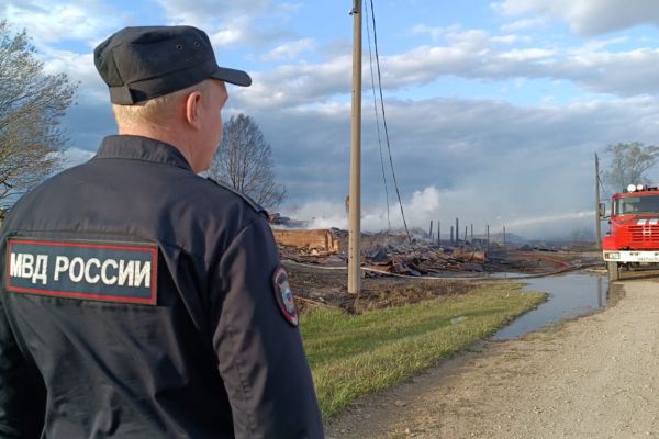 В полиции назвали возможную причину масштабного пожара в свердловской деревне