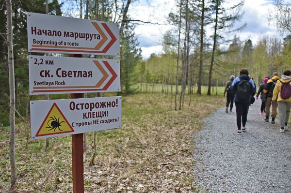 Свердловская область возглавила антирейтинг регионов по числу пострадавших от укусов клещей