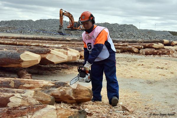 Под Красноуфимском построят завод по глубокой переработке древесины