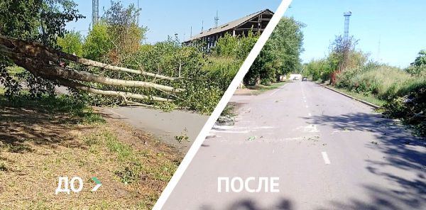 С улиц Каменска-Уральского убрали поваленные ветром деревья