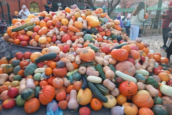 В зоопарке Екатеринбурга случился ажиотаж из-за бесплатного посещения
