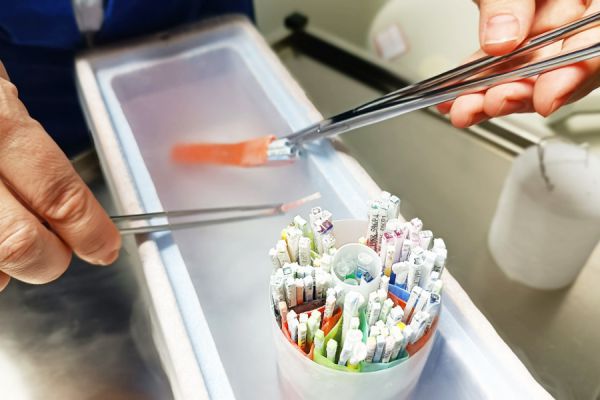 Донорство половых клеток помогает свердловчанам обрести радость родительства
