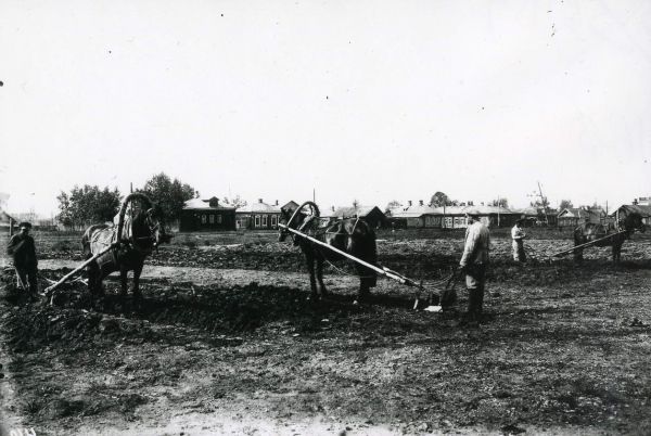 Агрономическая эпопея