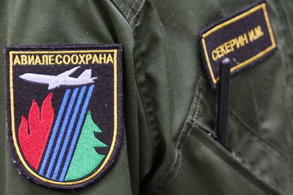 Площадь лесных пожаров в Свердловской области за выходные сократилась в 10 раз