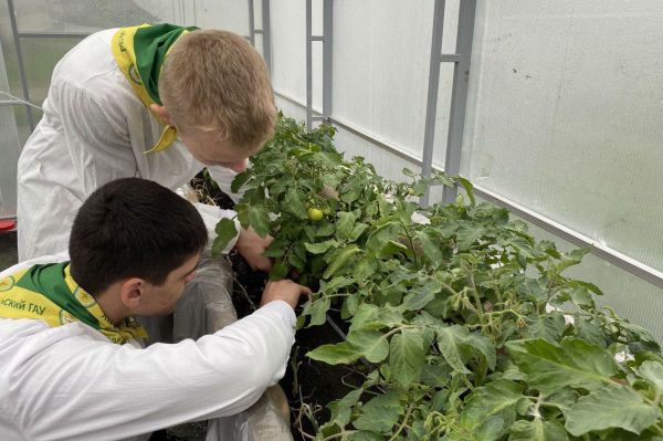 В области открыли уже несколько «Агрошкол», где можно с детства учиться на сити-фермера, ветеринара и биотехнолога