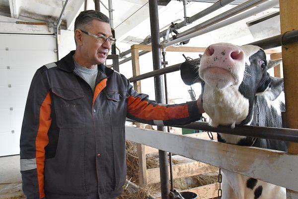 Помогли областные гранты: Андрей Кунников из села Грязновское построил семейную ферму