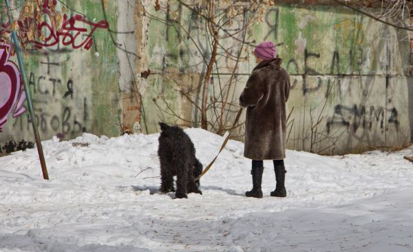 А кто это сделал?