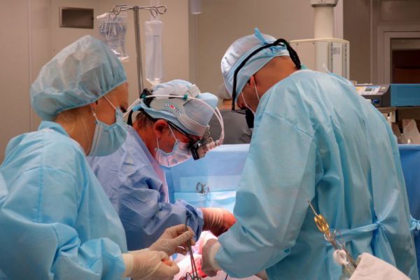 Свердловские трансплантологи успешно выполнили семь пересадок органов за сутки