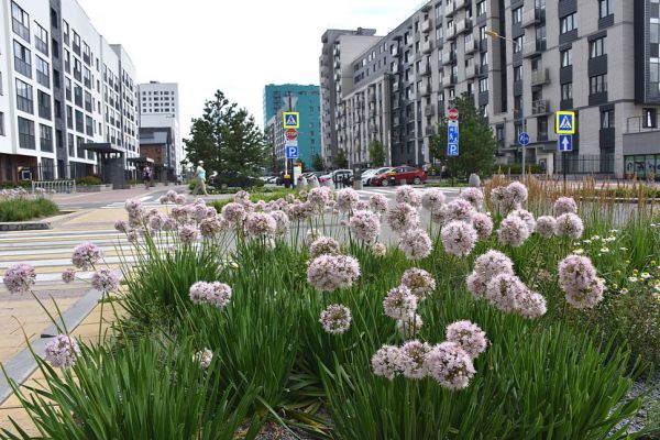 В Солнечном приступили к реконструкции парка