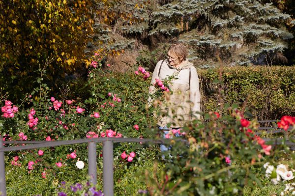 В Свердловской области за девять месяцев назначено более 30 тысяч пенсий