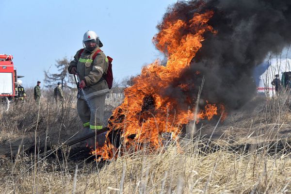 Евгений Куйвашев утвердил план тушения лесных пожаров в Свердловской области на 2024 год