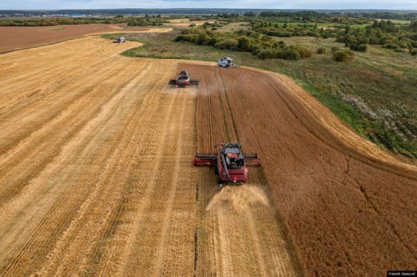 Почти 20 тысяч гектаров сельхозземель вернут в оборот на Среднем Урале в 2026 году