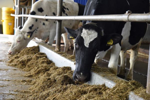 К началу мая свердловские животноводы получат 850 млн рублей субсидий