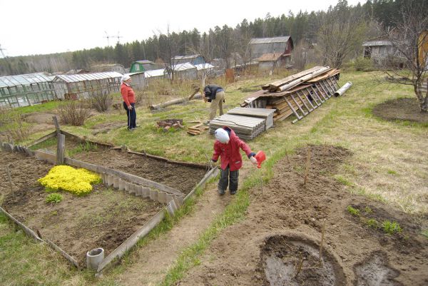 Пока рожают бедные…