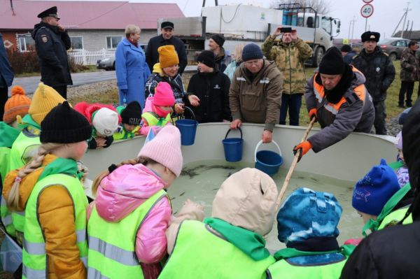 Особей белого амура выпустят в свердловский пруд