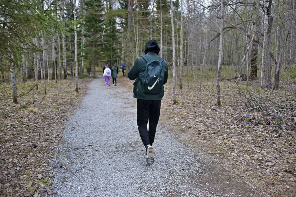 В воскресенье свердловчане смогут присоединиться к акции «10 000 шагов к жизни»