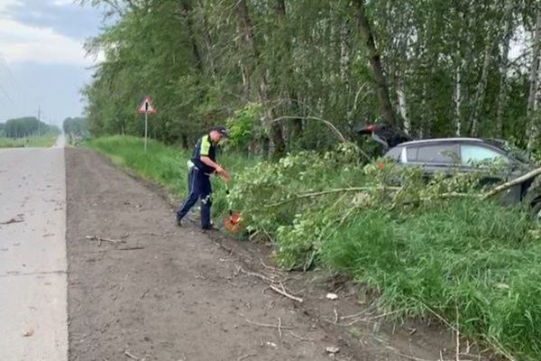 Под Садовым иномарка съехала с дороги и врезалась в дерево