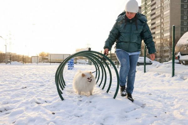 В Екатеринбурге на месте незаконной парковки появилась площадка для выгула собак