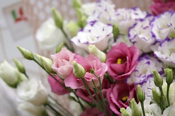 Зараженные цветы не попали в продажу. В уральской столице уничтожены срезы лизиантуса из Армении