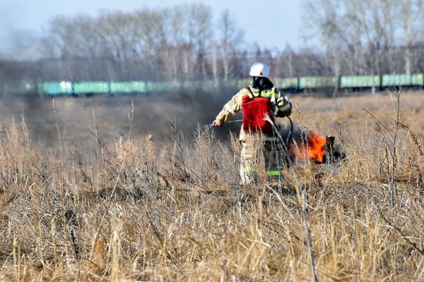 Против поджигателя леса на Чусовском тракте возбуждено уголовное дело