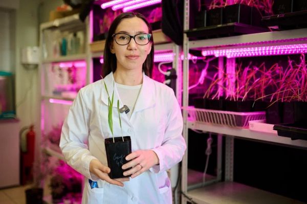 Разработанные на Урале новые бактерии помогут аграриям бороться с засолением почвы