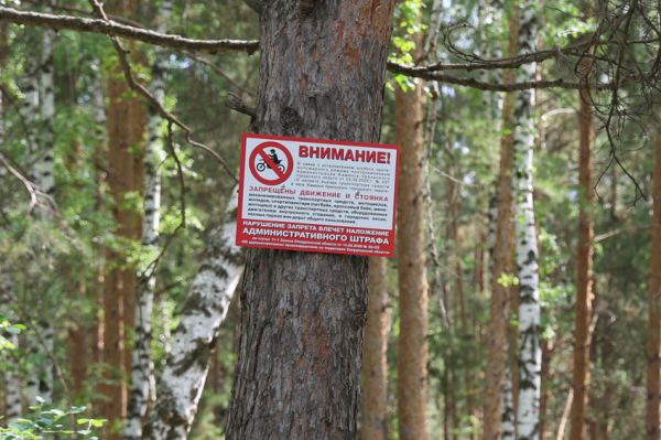 В Каменске-Уральском запретили ездить на мототехнике в городских лесах