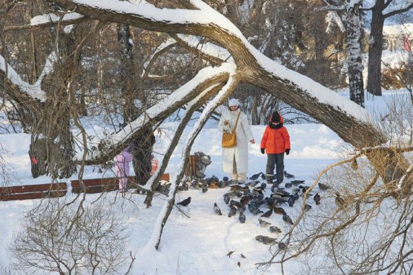 С начала года помощь медиков из-за ожогов и холода потребовалась более чем 110 юным свердловчанам