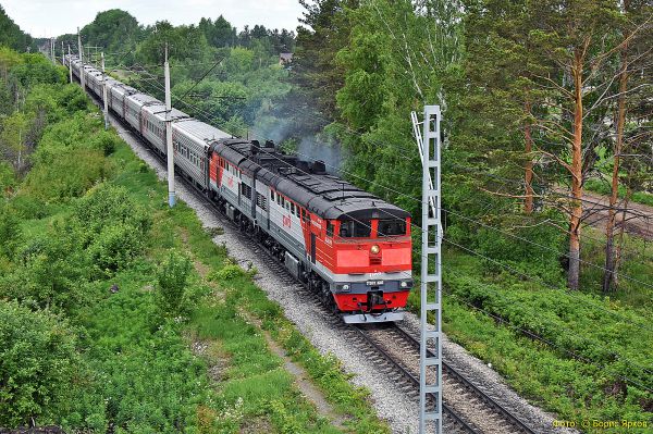 На Урале медведя сбил пассажирский поезд