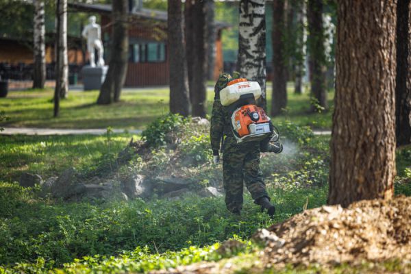 В Екатеринбурге обновили график обработки парков и скверов от клещей