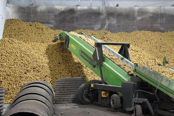 Исполняющим обязанности главы свердловского МинАПК стал Сергей Шарапов