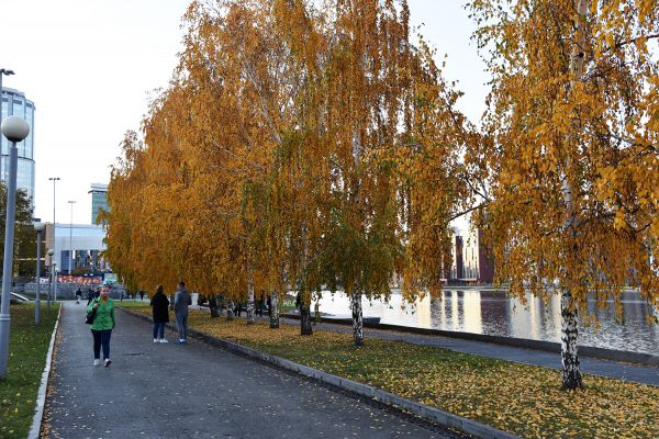 Бабье лето на Урале продлится ещё несколько дней