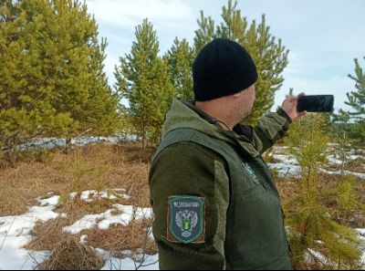 Заброшенные поля. Более 50 га сельхозземель заросли кустарником в Ачитском районе