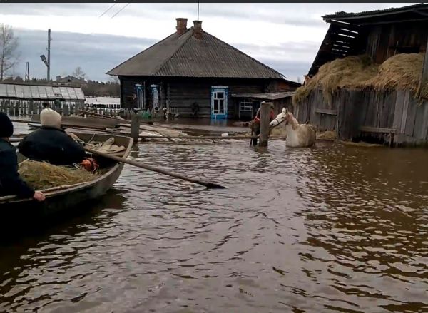 Вода в Тавде прибывает